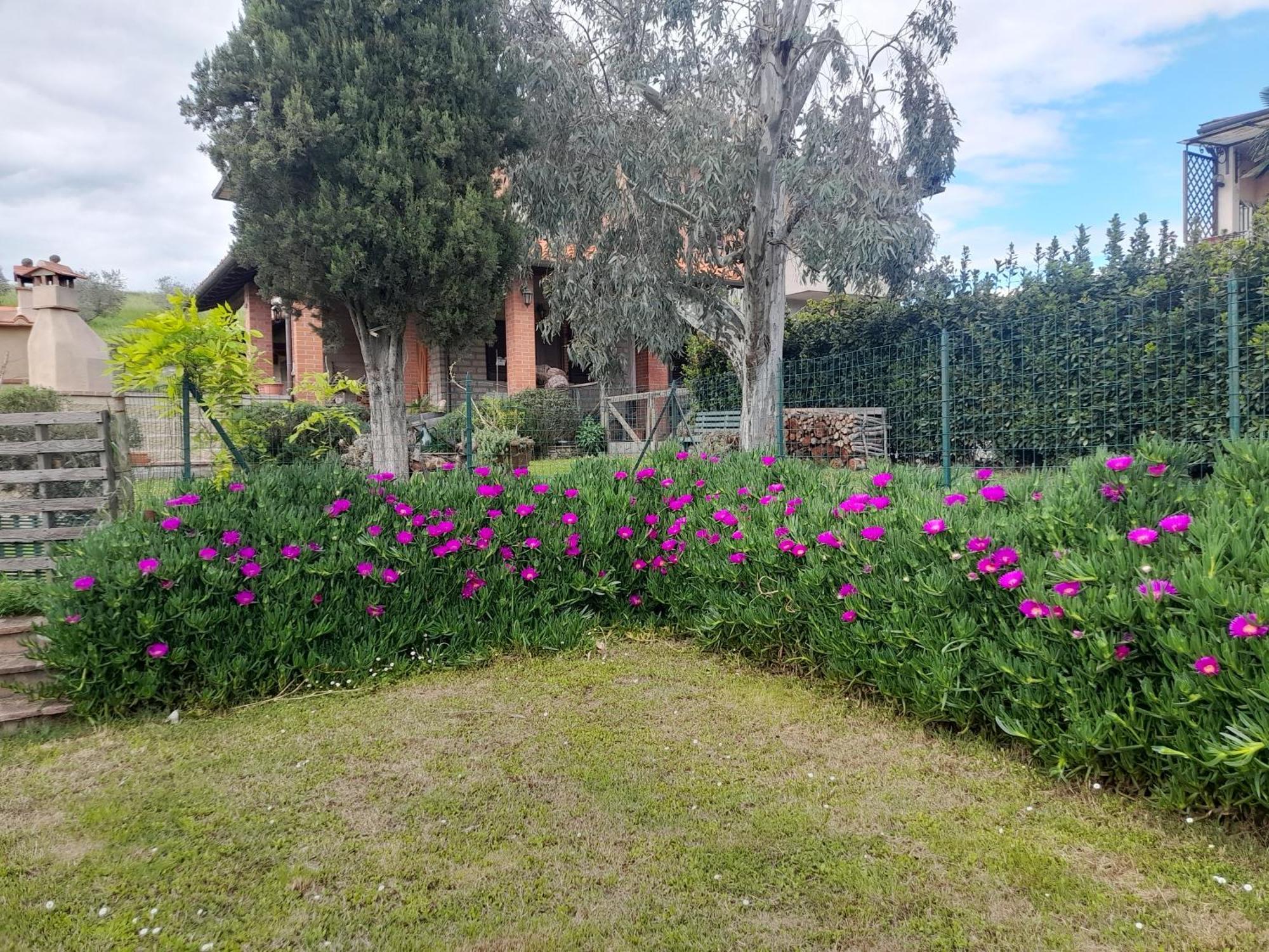 Agriturismo Santa Adriana Volterra Exteriér fotografie